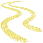 sarı akrilik beton boyası